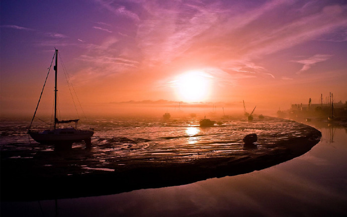 洁白的蝴蝶扑朔着翅膀