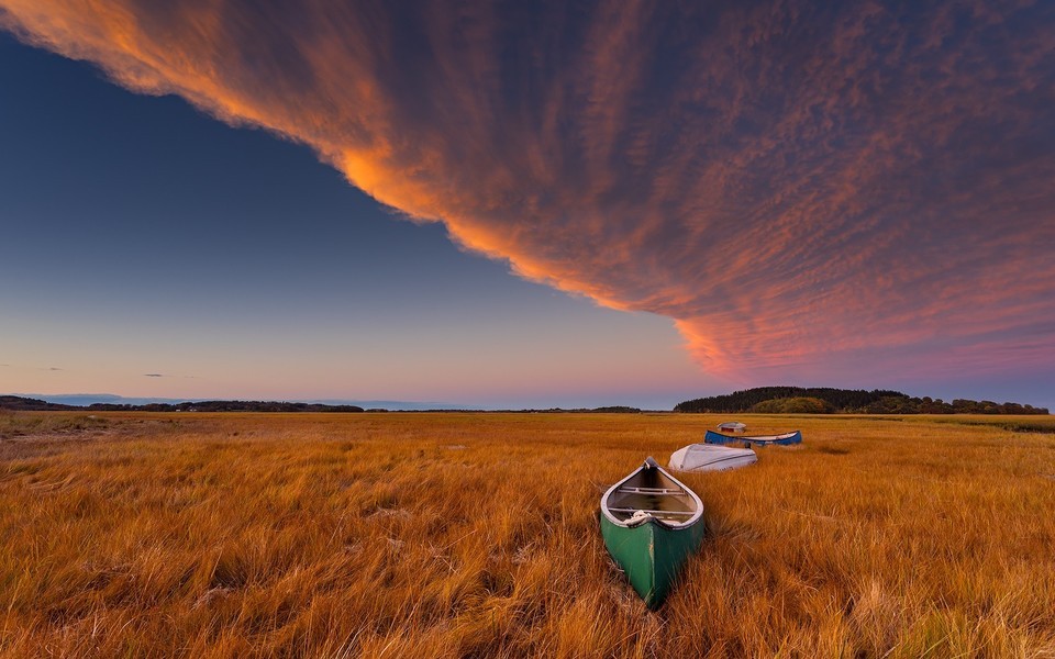 天苍苍，野茫茫